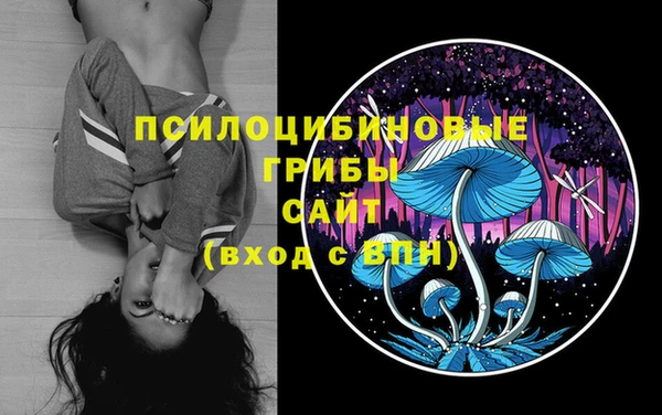 дживик Алзамай