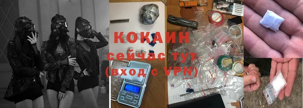 дживик Алзамай